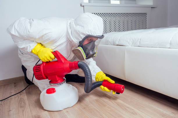 Best Residential Pest Control  in Oill, NE